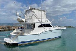 HATTERAS SF 42, VENTA DE HATTERAS SF 42, HATTERAS SF 42 DE LECHERIA