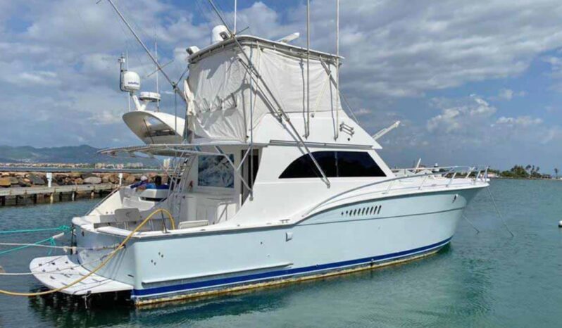 HATTERAS SF 42, VENTA DE HATTERAS SF 42, HATTERAS SF 42 DE LECHERIA