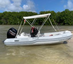 
										DINGHY CARIBE CL 14 full									