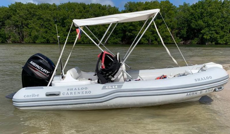 
								DINGHY CARIBE CL 14 full									