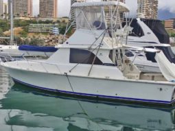 
										BERTRAM 36 full									