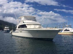 
										BERTRAM SPORT FISHERMAN 54 full									