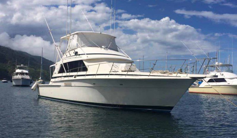 
								BERTRAM SPORT FISHERMAN 54 full									