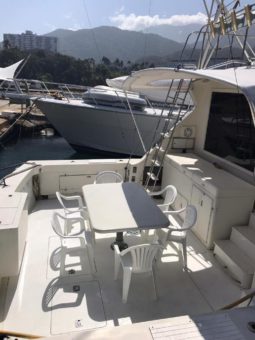 
										BERTRAM SPORT FISHERMAN 54 full									