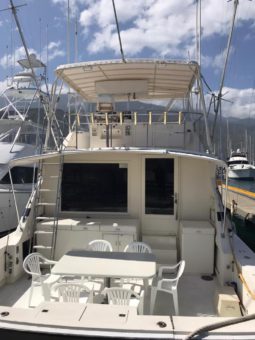 
										BERTRAM SPORT FISHERMAN 54 full									