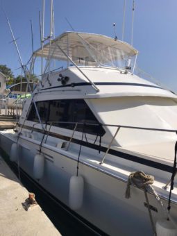 
										BERTRAM SPORT FISHERMAN 54 full									