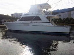 
										BERTRAM SPORT FISHERMAN 54 full									