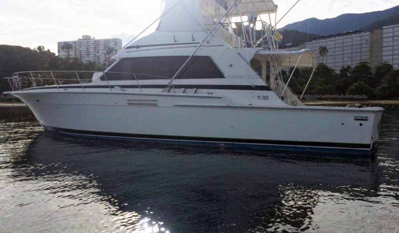 
								BERTRAM SPORT FISHERMAN 54 full									