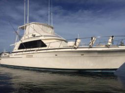 
										BERTRAM SPORT FISHERMAN 54 full									