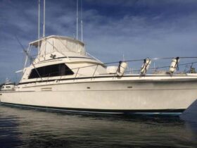 BERTRAM SPORT FISHERMAN 54