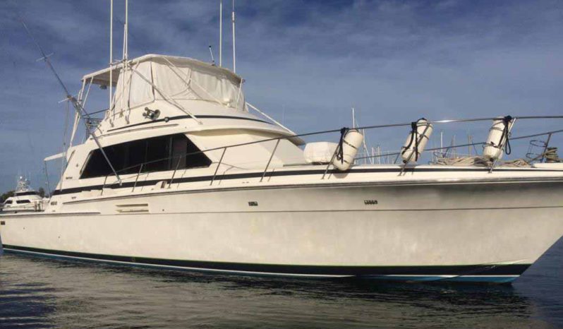 
								BERTRAM SPORT FISHERMAN 54 full									