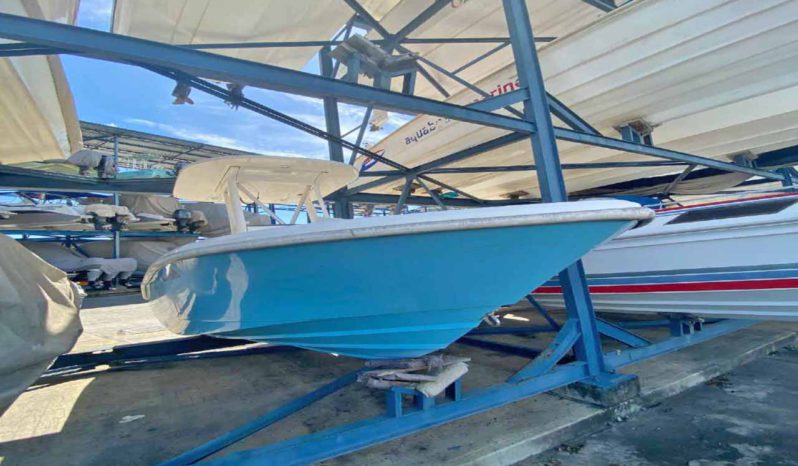 
								BLUE ARROW 48 full									