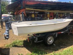 
										BOSTON WHALER 11 full									