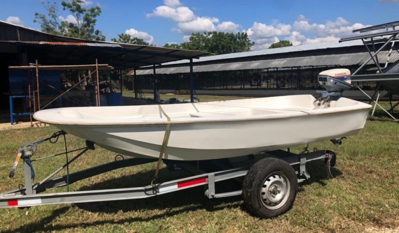 
								BOSTON WHALER 11 full									