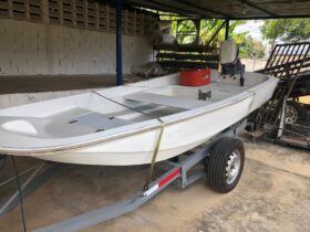 BOSTON WHALER 11