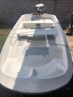 
										BOSTON WHALER 11 full									