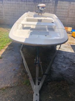 
										BOSTON WHALER 11 full									