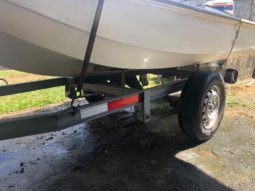 
										BOSTON WHALER 11 full									