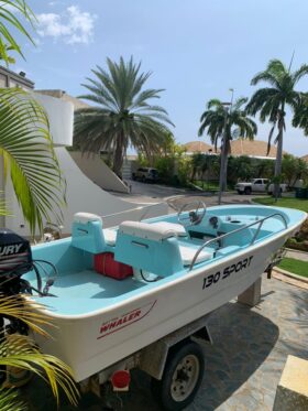 BOSTON WHALER 13