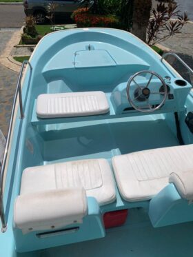 BOSTON WHALER 13