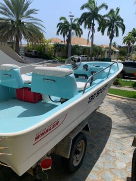 BOSTON WHALER 13