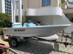 
										BOSTON WHALER 13 full									