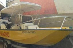 
										BOSTON WHALER 17 full									