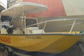 BOSTON WHALER 17