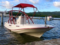 
										BOSTON WHALER 23 full									