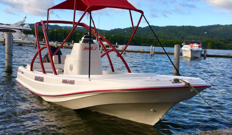 
								BOSTON WHALER 23 full									