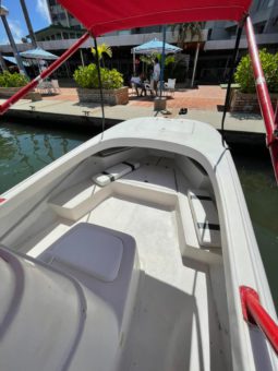 
										BOSTON WHALER 23 full									