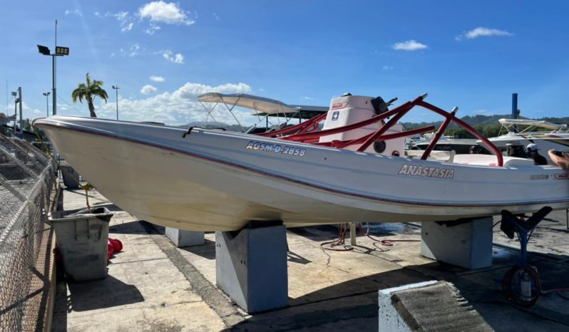 
								BOSTON WHALER 23 full									