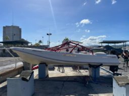 
										BOSTON WHALER 23 full									