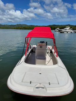 
										BOSTON WHALER 23 full									