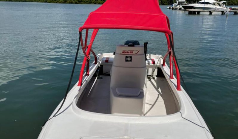 
								BOSTON WHALER 23 full									