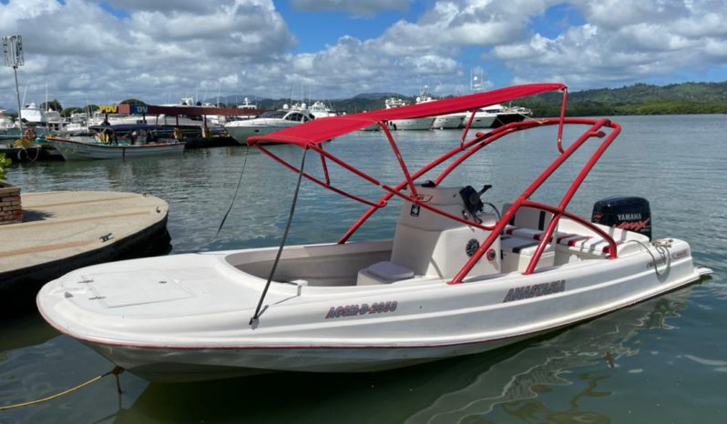 
								BOSTON WHALER 23 full									