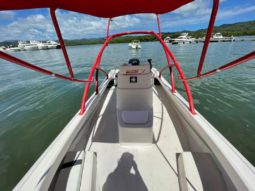 
										BOSTON WHALER 23 full									