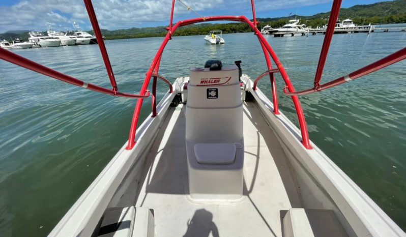 
								BOSTON WHALER 23 full									