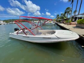 BOSTON WHALER 23