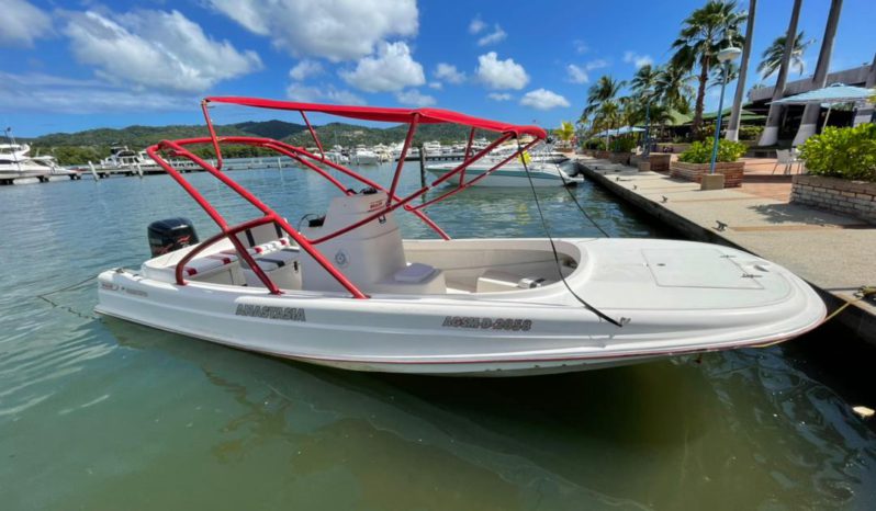 
								BOSTON WHALER 23 full									