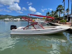 BOSTON WHALER 23