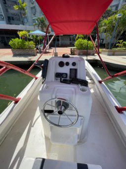 
										BOSTON WHALER 23 full									