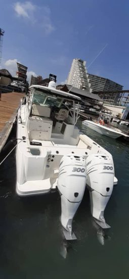 
										BOSTON WHALER 31.5 full									