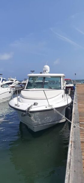 BOSTON WHALER 31.5