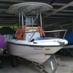 BOSTON WHALER AMERICANO 18.4, VENTA DE BOSTON WHALER AMERICANO 18.4, BOSTON WHALER AMERICANO 18.4 DE TUCACAS