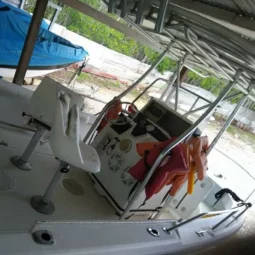 
										BOSTON WHALER AMERICANO 18.4 full									