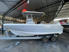 BOSTON WHALER DAUNTLESS 24