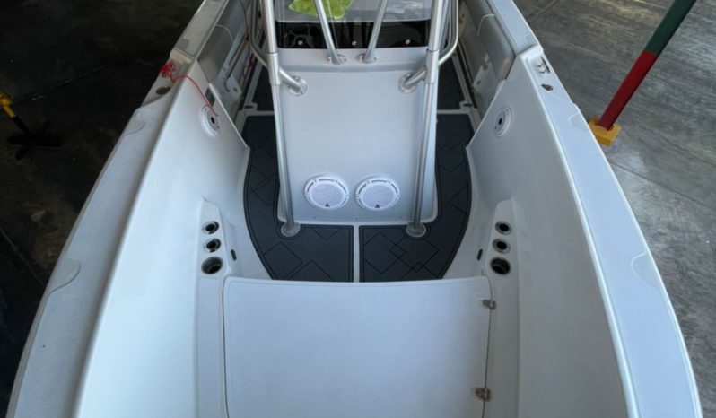 
								BOSTON WHALER DAUNTLESS 24 full									