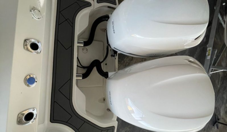 
								BOSTON WHALER DAUNTLESS 24 full									