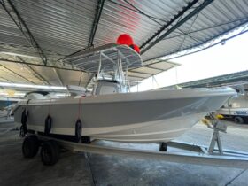 BOSTON WHALER DAUNTLESS 24